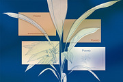 Nature Graphics Collection #02, an Object Graphic by ARKS ACADEMY (Thumbnail 3 of 17)