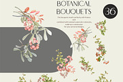 Winter pyracantha and more, an Object Graphic by Collection by VY (Thumbnail 2 of 9)