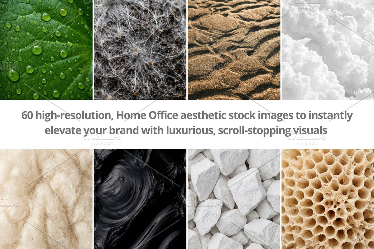 100 Organic Nature Texture, a Background Photo by Selenique Studio (Photo 2 of 10)