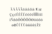 Metropolitan Parliament Family Serif, a Serif Font by UICreative (Thumbnail 2 of 13)