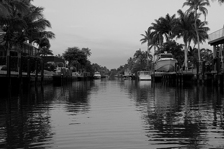 A Reflection In The Water preview 6