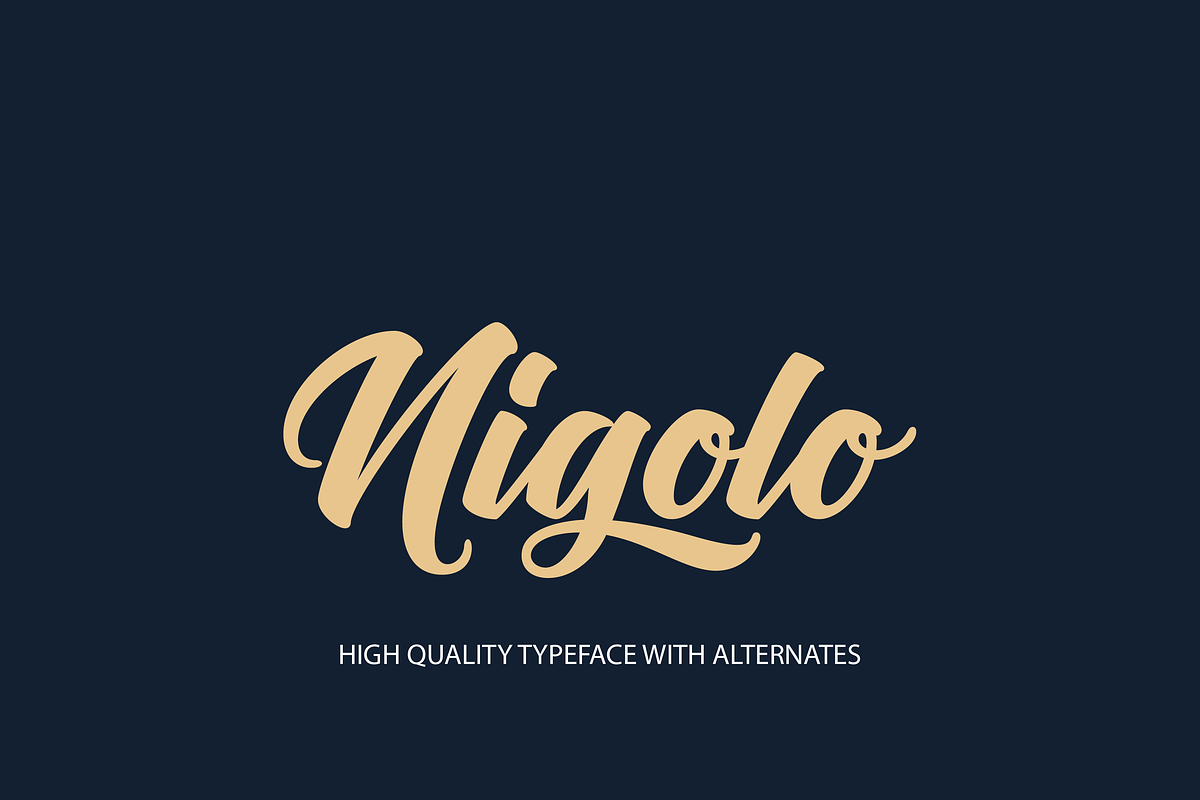 Nigolo Script Font, a Script Font by Creative Foundry (Photo 1 of 8)