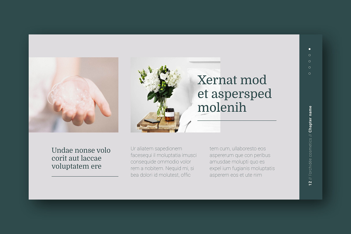 INDESIGN Slide Deck / Presentation, a Presentation Template by Galgali Design Studio (Photo 12 of 25)