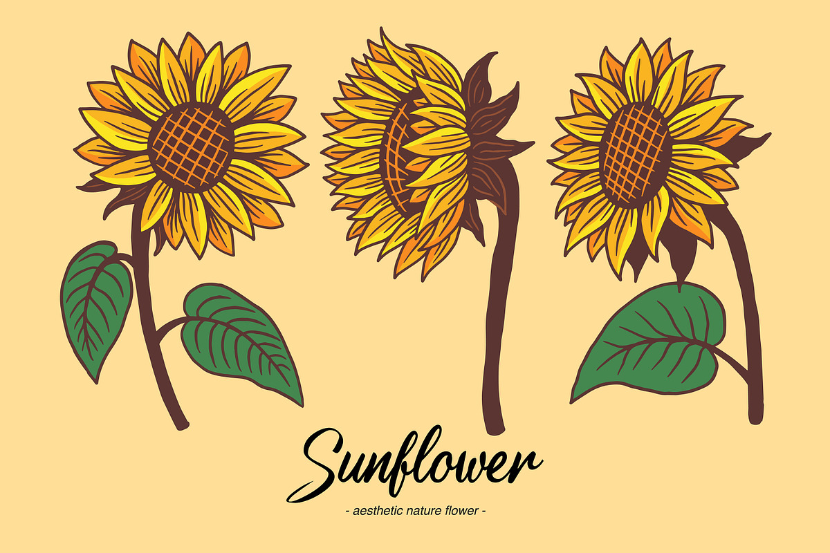 15 Set Sunflower Sunshine Clipart, an Illustration by Morspective (Photo 4 of 7)
