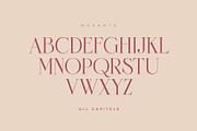 Novante | Display Serif, a Serif Font by Arterfak Project (Thumbnail 2 of 13)