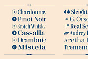 Gerard Display, a Serif Font by Rafael Jordan (Thumbnail 7 of 12)
