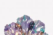 ETARA Magical Scene Builder Kit, an Object Graphic by ETARA by Mea Hau (Thumbnail 22 of 25)