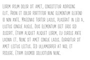 Pumpkin Pie Lattes - A Warm Font, a Sans Serif Font by Sunkissed Minimalist (Thumbnail 4 of 4)