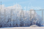 Handwritten Font Bundle, a Script Font by Shift Studios (Thumbnail 7 of 18)