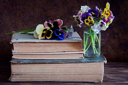 Pansies in glass bottles containing ancient, archives, and book