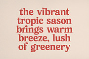 Klaten Yuforia Modern Bold Serif, a Serif Font by timelesstype.co (Thumbnail 9 of 15)