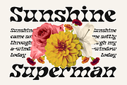 Noradya - Stylish Serif Font, a Serif Font by Font Liner (Thumbnail 3 of 12)