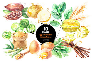 Watercolor Ingredients Vector Set