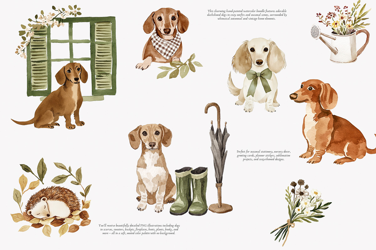 dachshund clipart cozy dog png, a Decorative Illustration by Patishop Art (Photo 6 of 10)