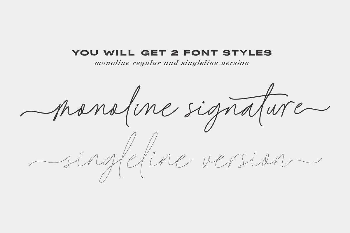 Baked Salmon - Monoline Script Font, a Script Font by Subectype Studio (Photo 2 of 9)