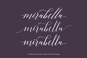 Adelicia Script, a Script Font by Seniors (Thumbnail 3 of 7)