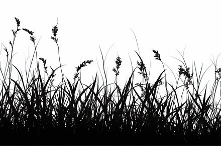 Illustration of black grass on white background. Generative AI, a Nature Photo by AlyaAnd