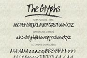 Nameless typeface, a Script Font by Anna Ivanir (Thumbnail 8 of 9)