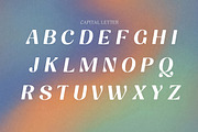 Retro Revival Choice Vintage Serif, a Serif Font by AN Productions (Thumbnail 5 of 7)