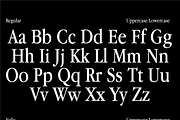 Sonata - Nostalgic Font, a Serif Font by NeueStudios (Thumbnail 10 of 14)