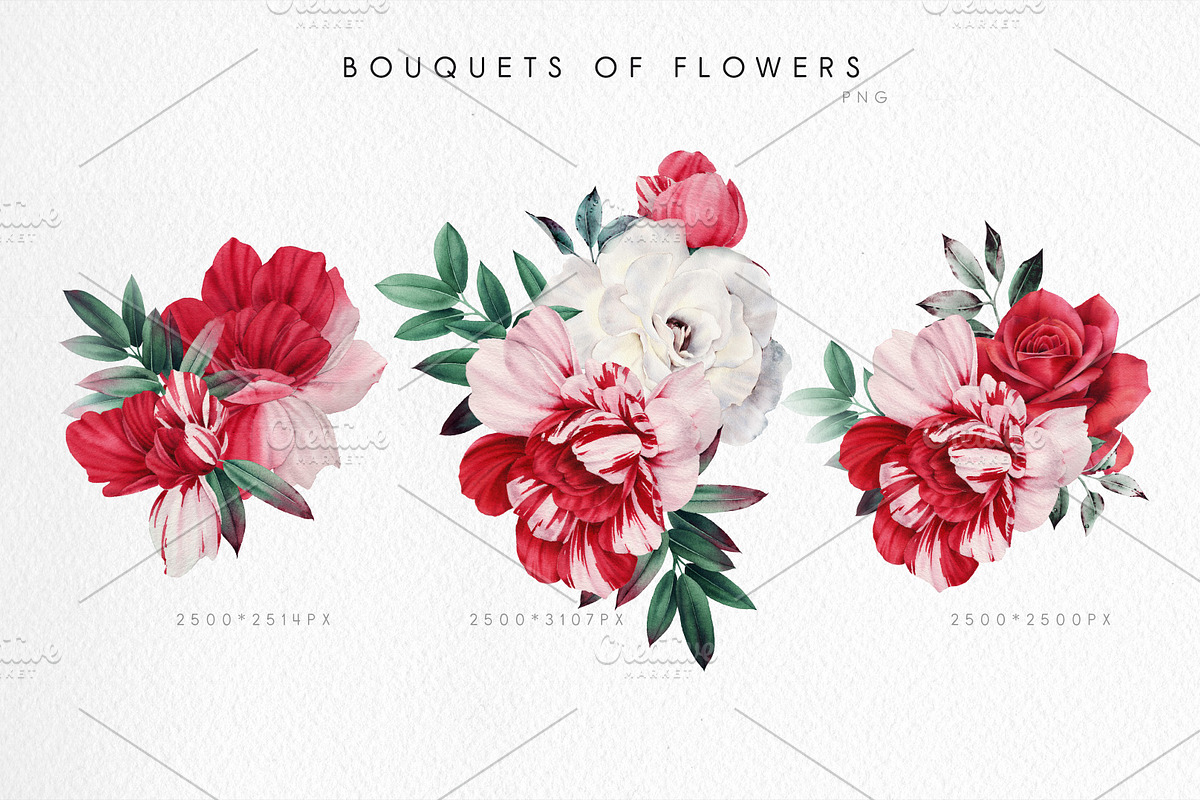 DISCOUNT PEONIES & ROSES (Clipart), a Decorative Illustration by ollalya (Photo 4 of 8)