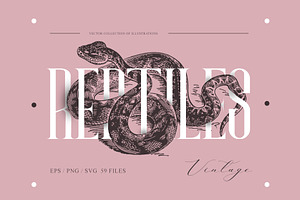 Reptiles Vintage