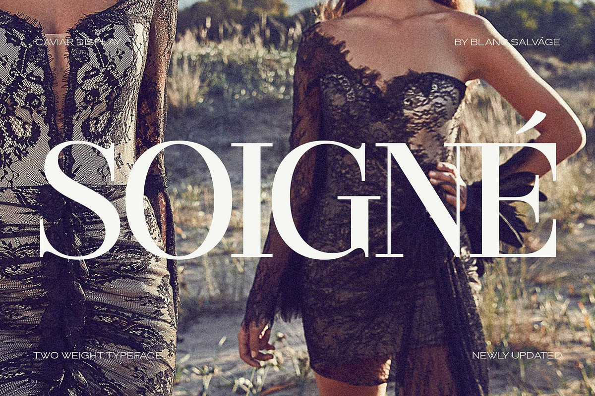 Caviar Luxury Editorial Serif, a Serif Font by Blanc Salváge (Photo 9 of 9)