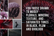 Dark Floral & Mineral Stock Photos, a Nature Photo by Tale.Haus (Thumbnail 3 of 17)
