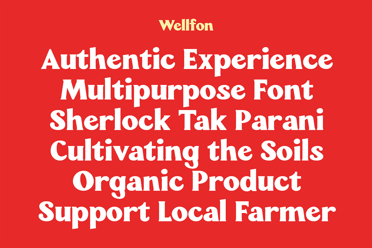 Wellfon - Modern Retro Serif Font, a Serif Font by Pekotype (Photo 7 of 11)