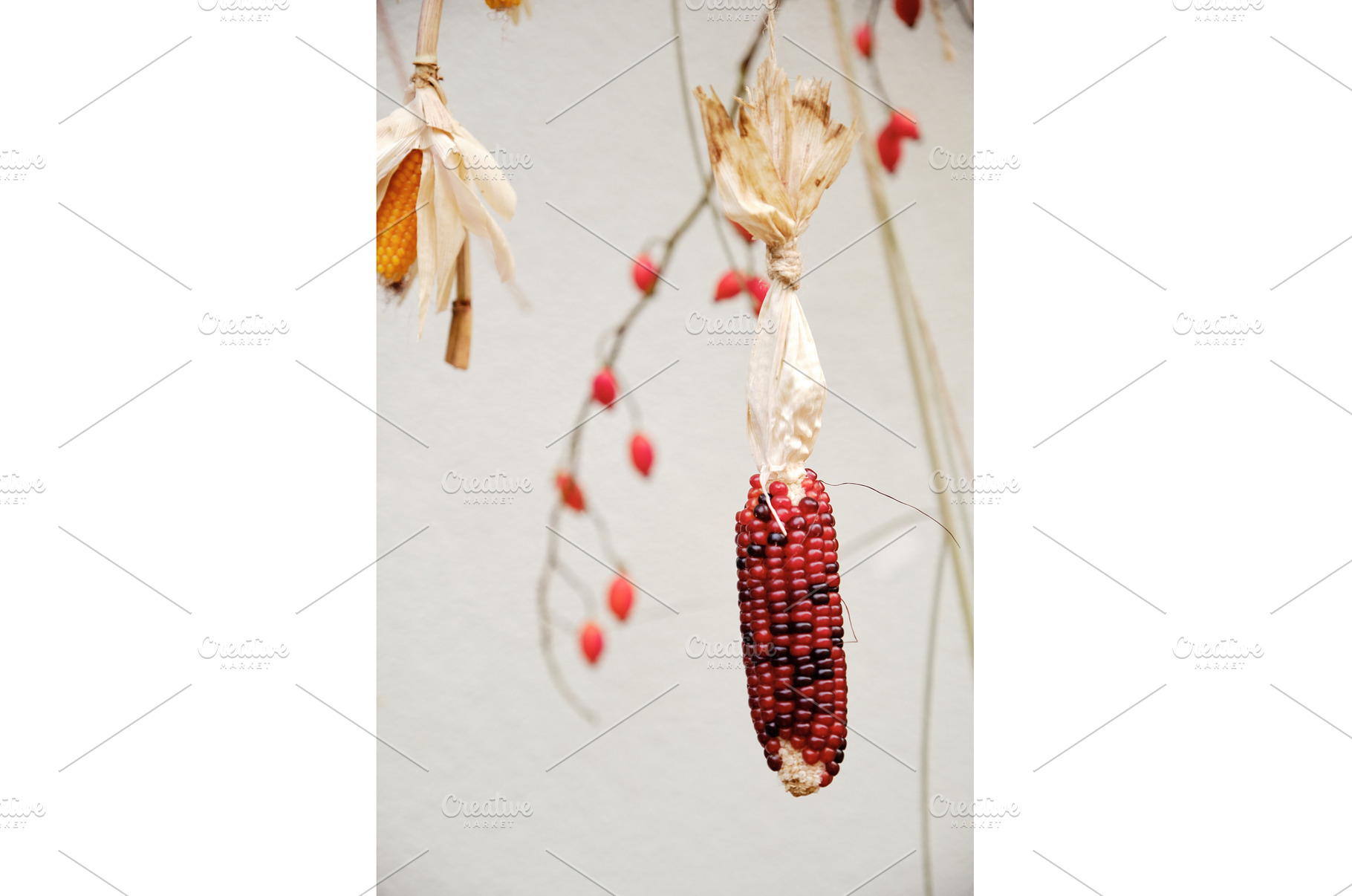 Close-up shot of a decorative cob of, a Food & Drink Photo by Rohan Photography