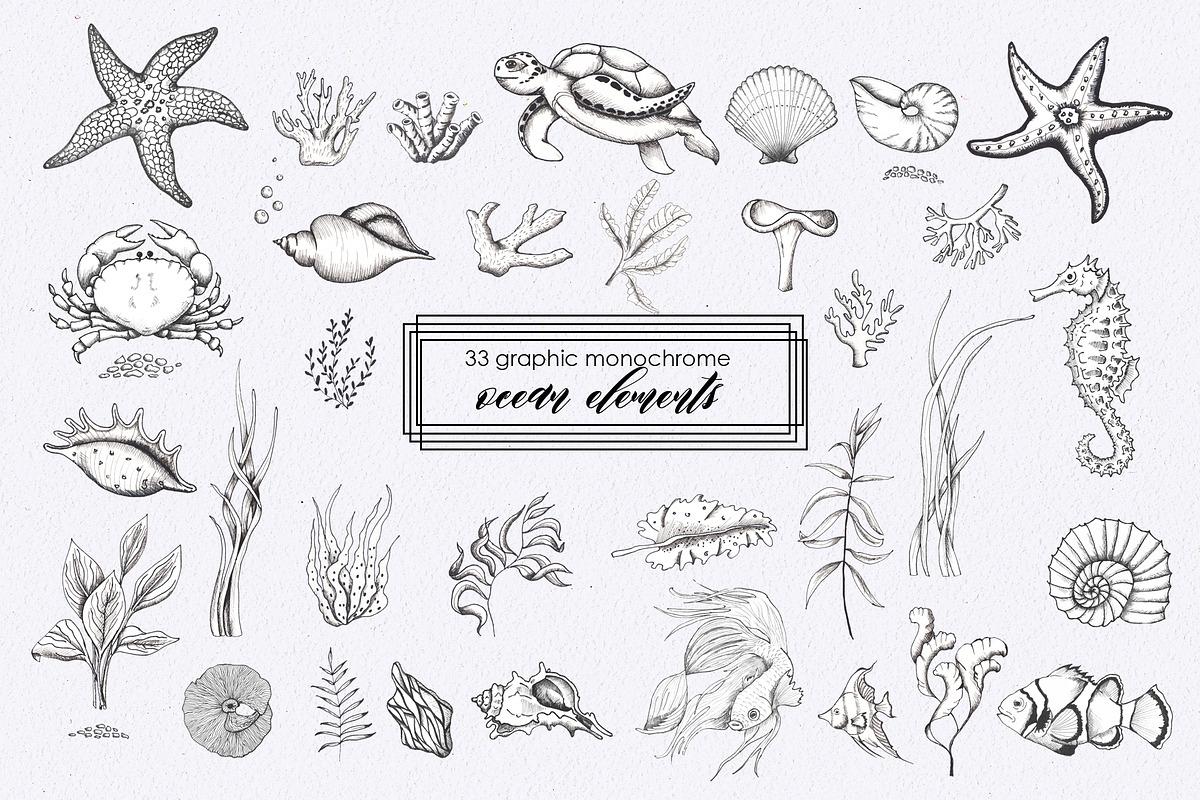 Ocean & sea underwater life, an Object Graphic by Ana-Sakuta (Photo 12 of 18)