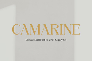 Camarine Modern Serif