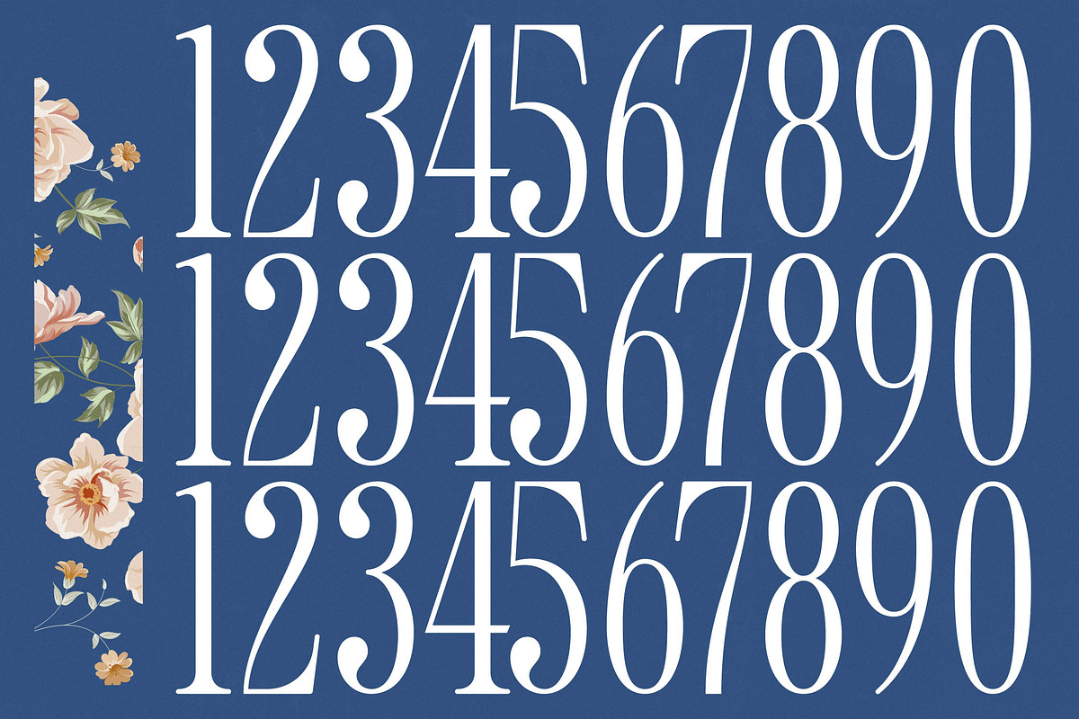 Salgirfen Modern Serif Font, a Serif Font by timelesstype.co (Photo 17 of 20)
