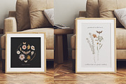 Wildflowers watercolor floral botany, a Decorative Illustration by Grace Noboa Illustrations (Thumbnail 9 of 17)