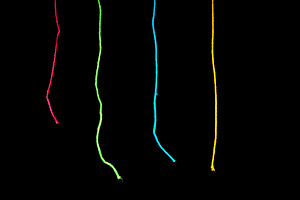 Colorful Hanging String, an Abstract Photo by THP Creative