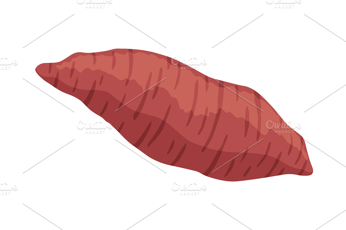 Sweet potato batata. Vegatable, a Food Illustration by the8monkey