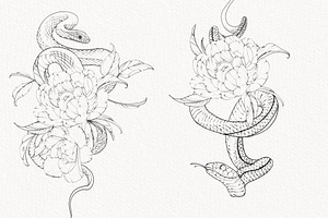 Procreate Snake Stamps With Flowers.