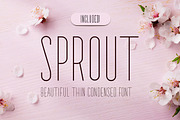 Bridal Sans Serif - Multi Weight, a Sans Serif Font by CorgiAstronaut (Thumbnail 10 of 10)