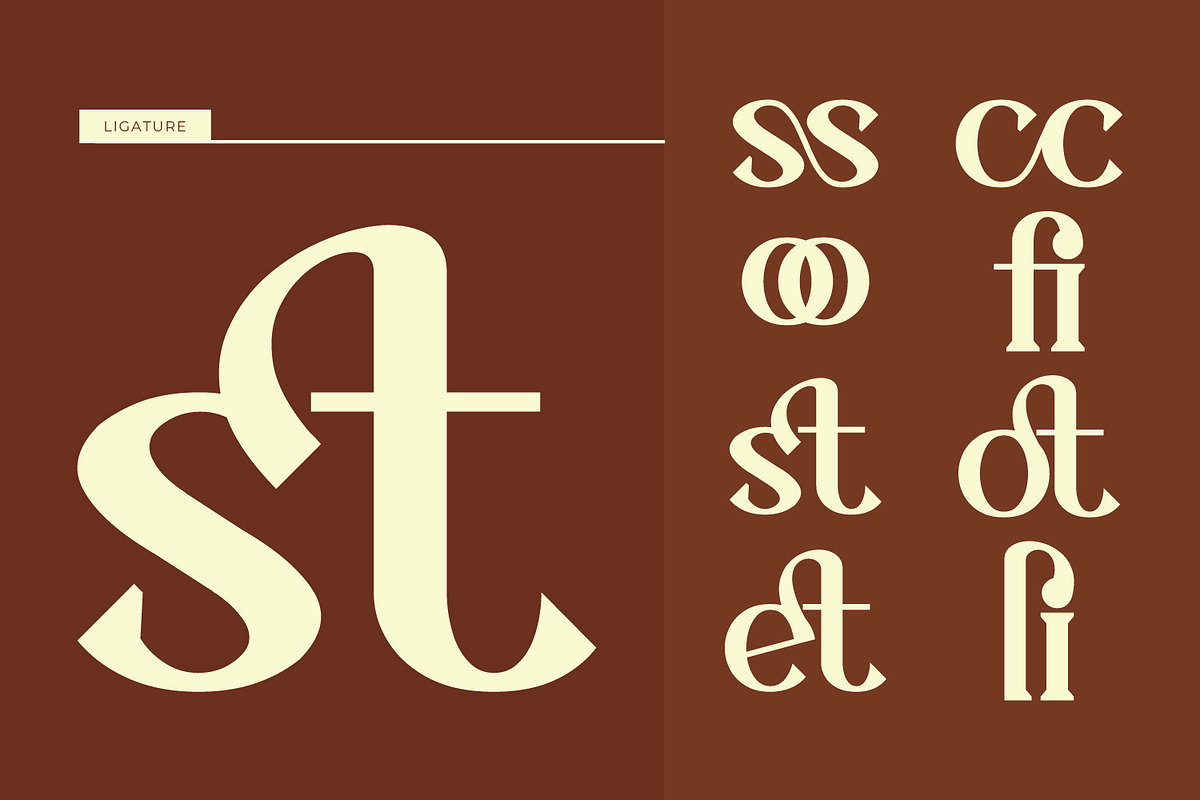 Cassovia - Modern Serif Font, a Serif Font by Rishsketch (Photo 13 of 15)