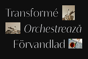 Neue Mylon - 21 Fonts, a Sans Serif Font by Nasir Udin (Thumbnail 13 of 14)