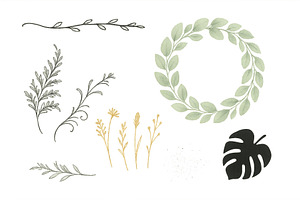 Botanical illustrations of leaves, an Illustration by ZinetroN
