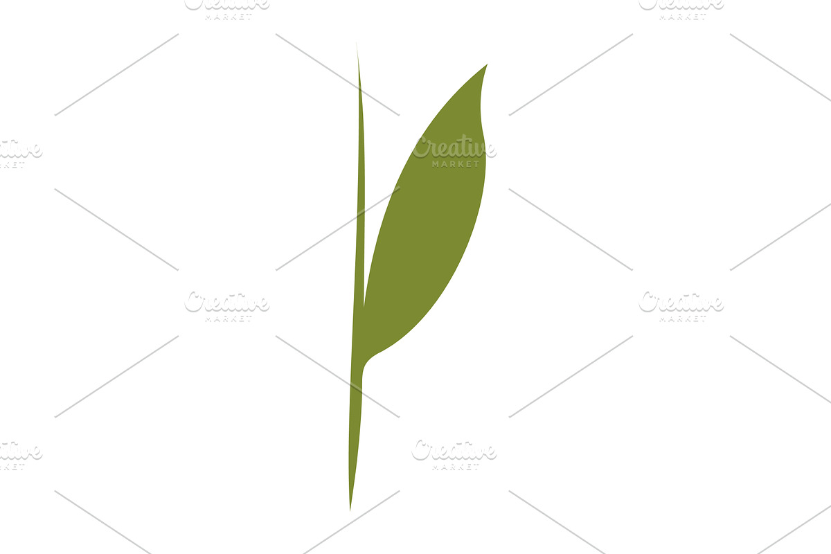 Simple green plant stem growing, an Object Illustration by okskukuruza
