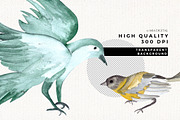 Watercolor Birds Clipart Set, an Animal Illustration by Mia Digital (Thumbnail 5 of 5)