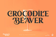Marshland Beauty, a Font by Aluyeah Studio (Thumbnail 2 of 15)