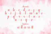 Azteciya - Handwritten Font, a Script Font by StringLabs (Thumbnail 11 of 12)