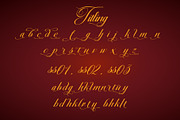 Christmas Calligraphy, a Script Font by Letterara (Thumbnail 14 of 15)