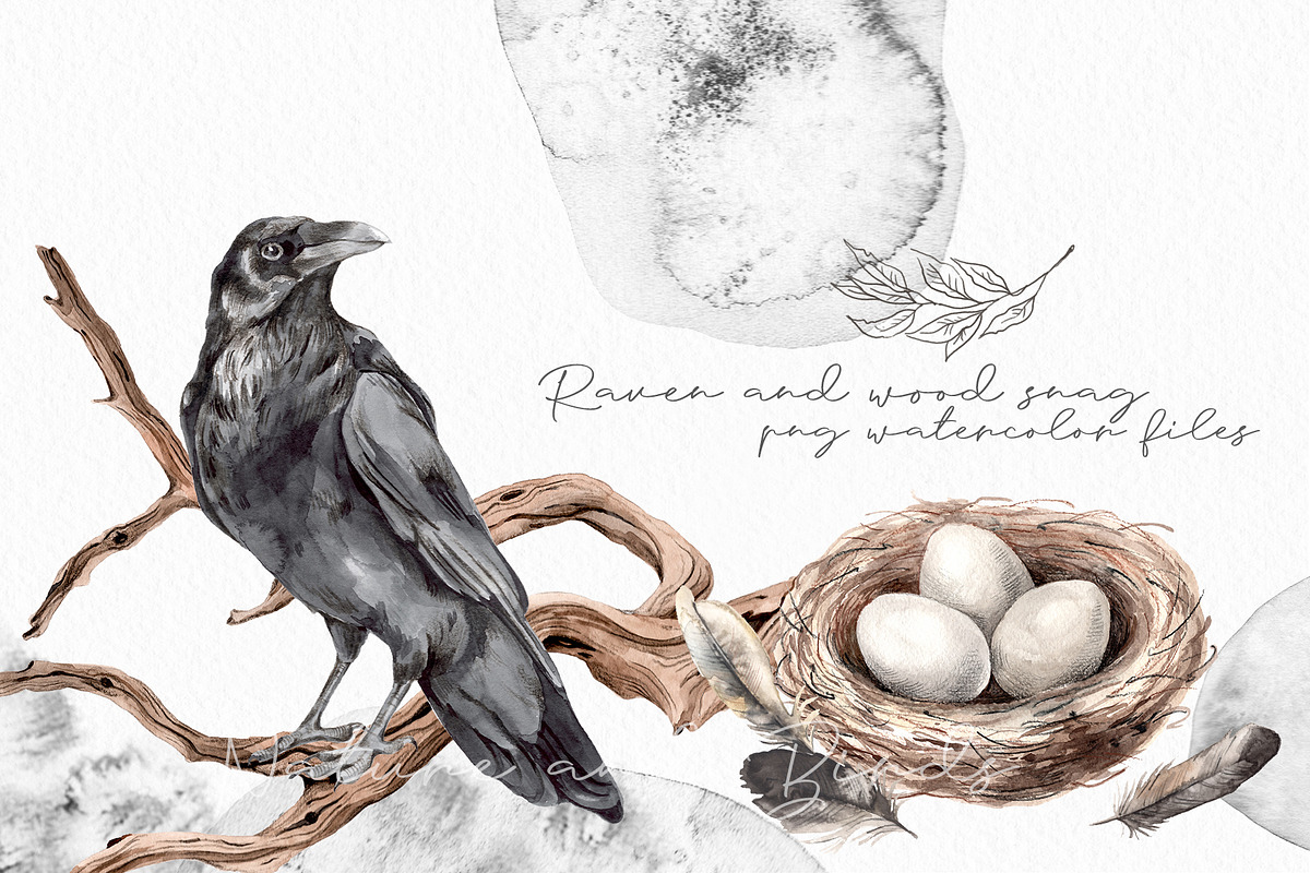 Watercolor Nature and Birds set, an Illustration by Alamella (Photo 3 of 13)