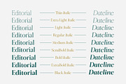 Ringle, a Serif Font by Attract Studio (Thumbnail 13 of 13)