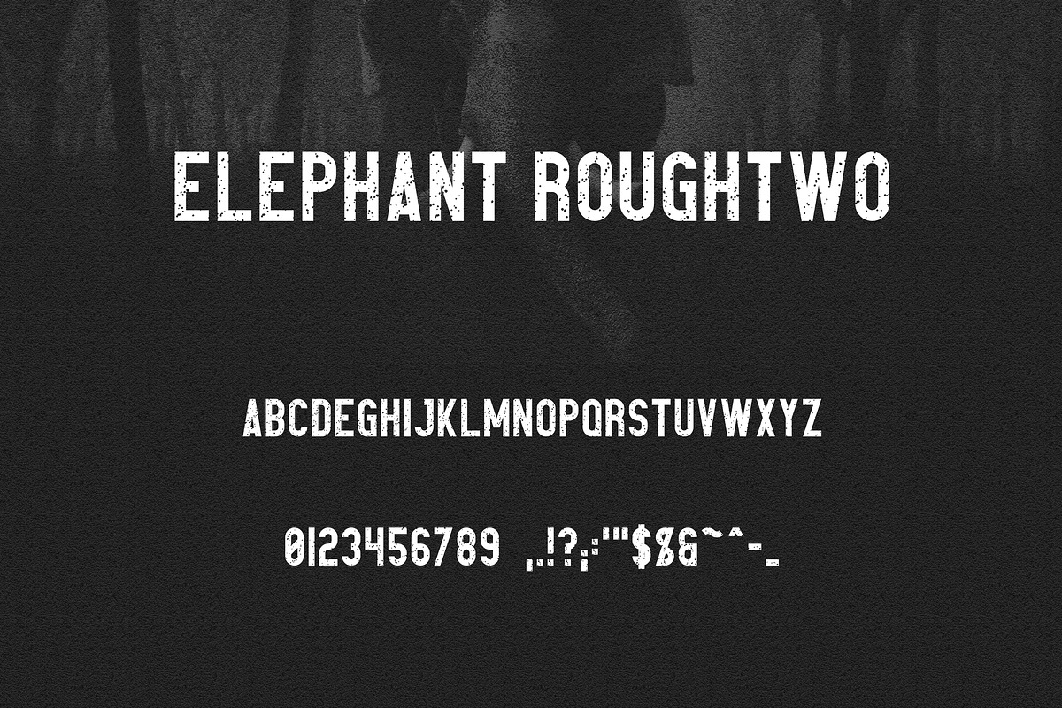 Elephant Font Family -50%, a Sans Serif Font by VP Fonts (Photo 10 of 14)