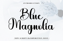 Blue Magnolia